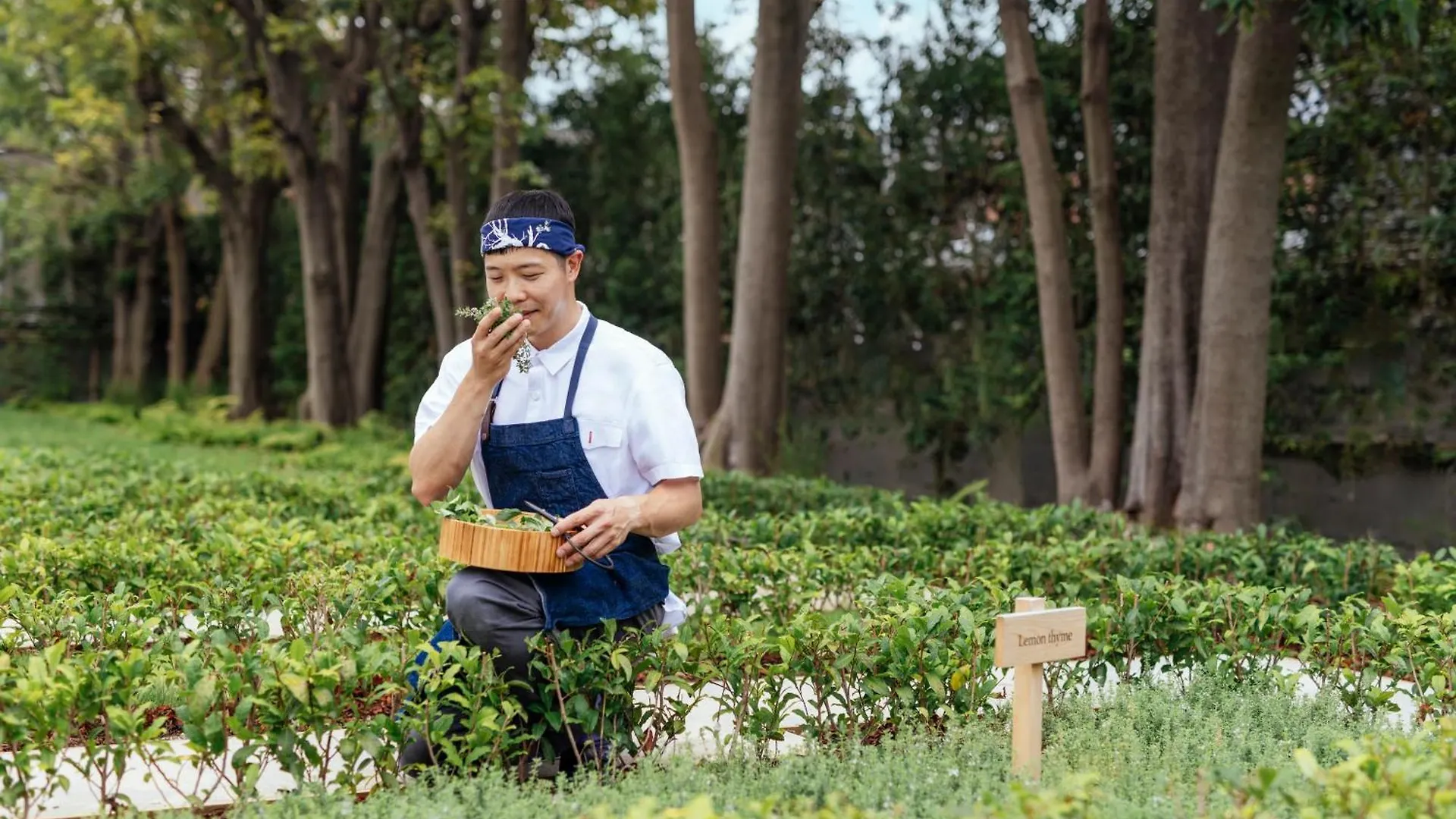 Hotel Six Senses Kyoto 5*,  Japon